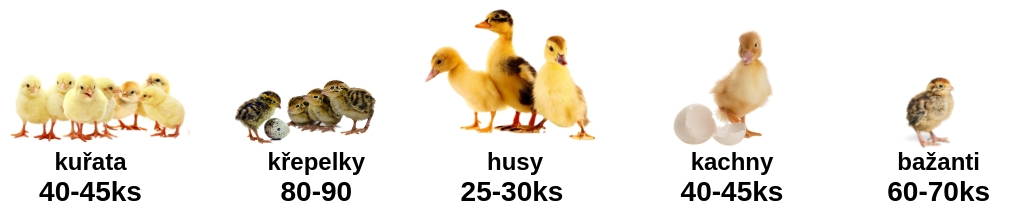 CIMUKA%20CB40-03-TA%20obrA